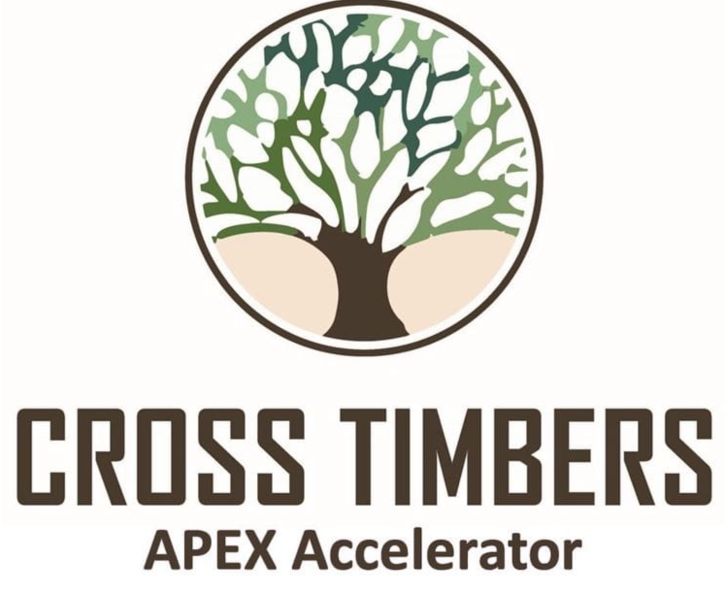 UTA Cross Timbers APEX Accelerator